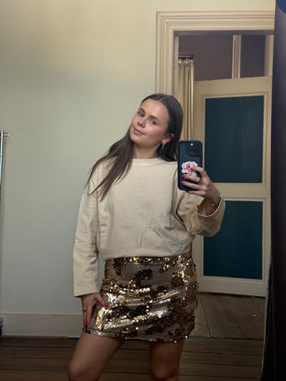 ARCHIVE SALE TREASURE SEQUIN SKIRT BROWN